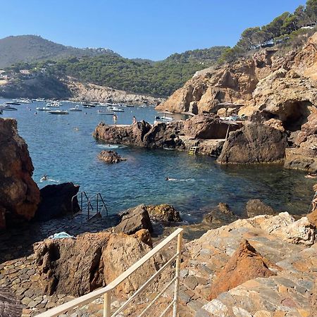 Apartment In Cap Sa Sal Begur Ngoại thất bức ảnh
